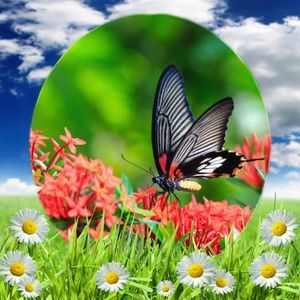 Meet your Posher, Sanja